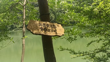 1000068706