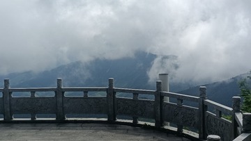1000068832