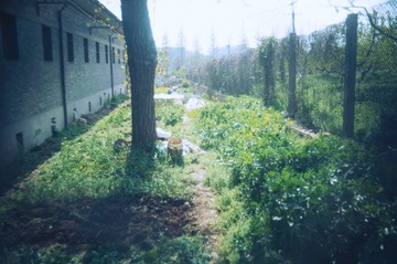 005U9314.jpg