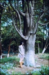 005U9445.jpg