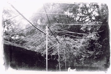 005U0933bw.jpg