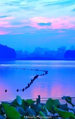 晨曦中的西子湖.jpg