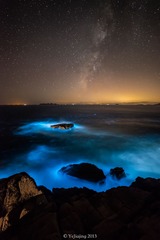 _YJJ3328
