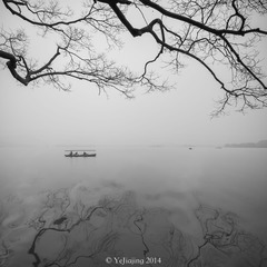 _YJJ8329