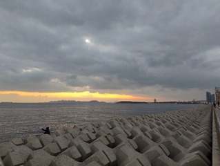 1000116590