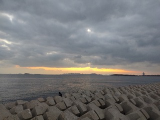 1000116588