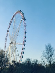 1000028432