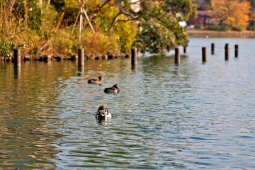 IMG_6991.jpg