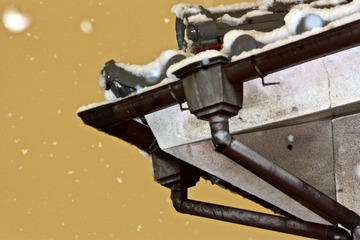 IMG_8128.jpg