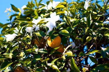 IMG_8177.jpg
