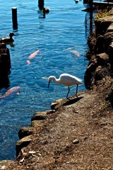 IMG_8221.jpg