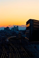 IMG_8336.jpg