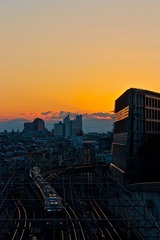 IMG_8333.jpg