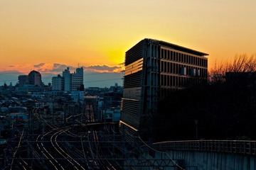 IMG_8330.jpg