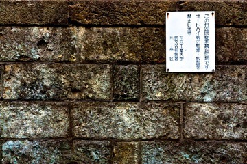 IMG_8359.jpg