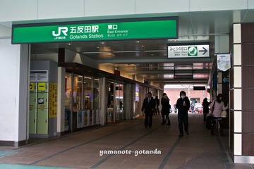 IMG_8397.jpg