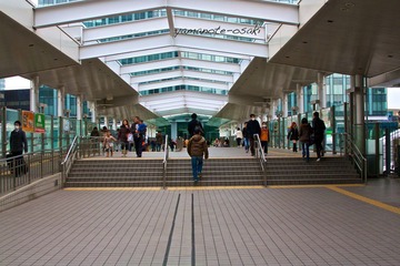 IMG_8414.jpg