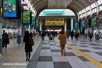IMG_8443.jpg