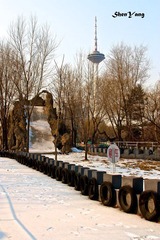 IMG_8558.jpg