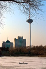 IMG_8637.jpg