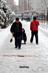 IMG_8669.jpg