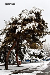IMG_8684.jpg