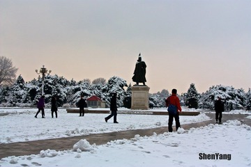 IMG_8707.jpg