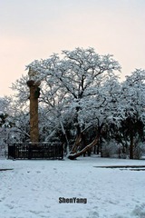 IMG_8753.jpg