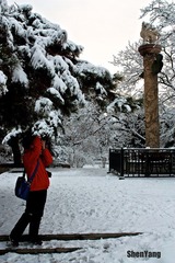 IMG_8758.jpg