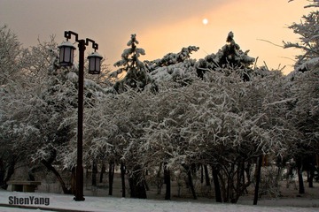 IMG_8781.jpg