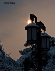 IMG_8783.jpg
