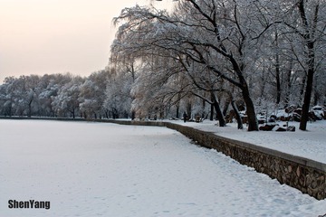 IMG_8809.jpg