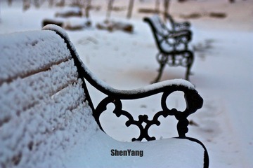 IMG_8819.jpg