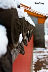 IMG_8863.jpg