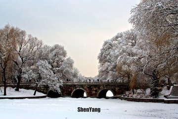 IMG_8873.jpg