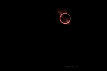 IMG_0261.jpg