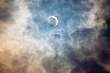 IMG_0287.jpg