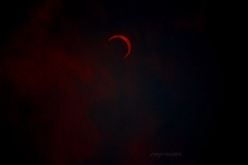 IMG_0288.jpg