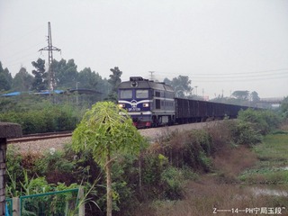 DSC00098_副本.jpg