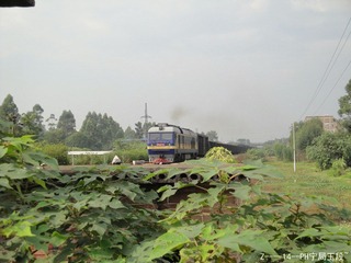 DSC00103_副本.jpg