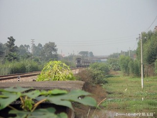 DSC00108_副本.jpg