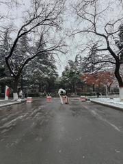 1000016816