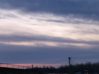 1000015814