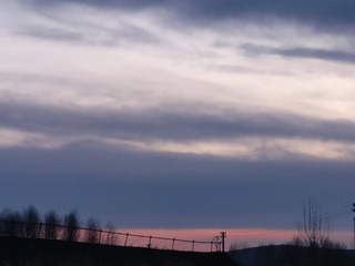 1000015817