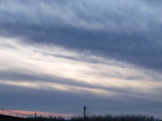 1000015815