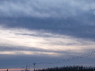 1000015816
