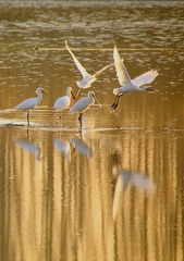 IMG_20180113_075420