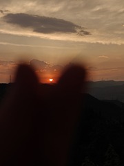 1000003091