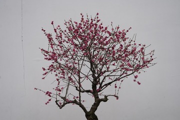 1708560