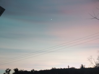 116538